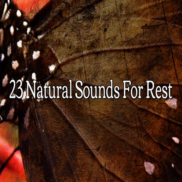 23 Natural Sounds For Rest - Album by Sleep Sounds of Nature | Spotify