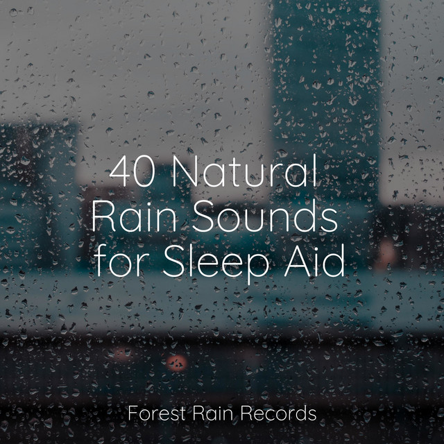 40 Natural Rain Sounds for Sleep Aid - Album by Easy Sleep Music | Spotify