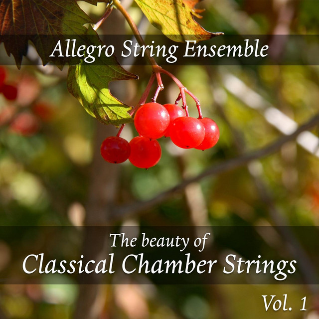 The Beauty of Classical Chamber Strings, Vol. 1 cover art