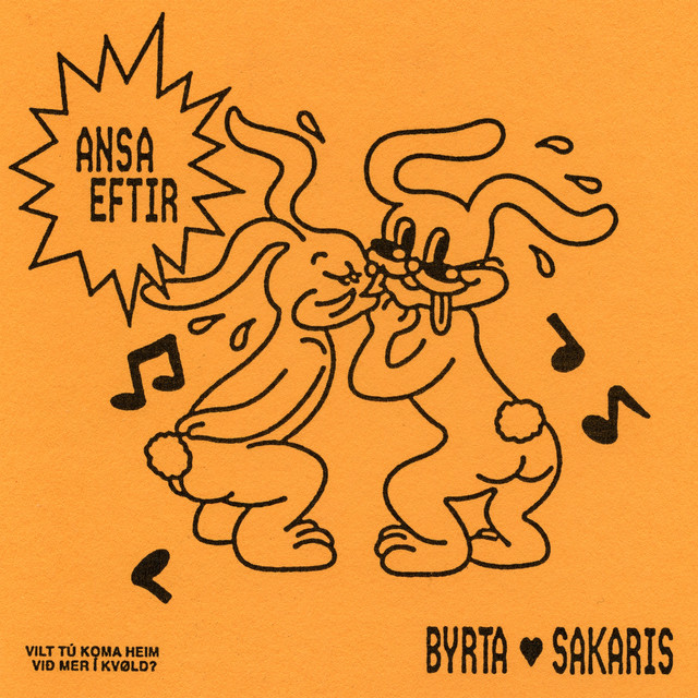 Ansa eftir cover