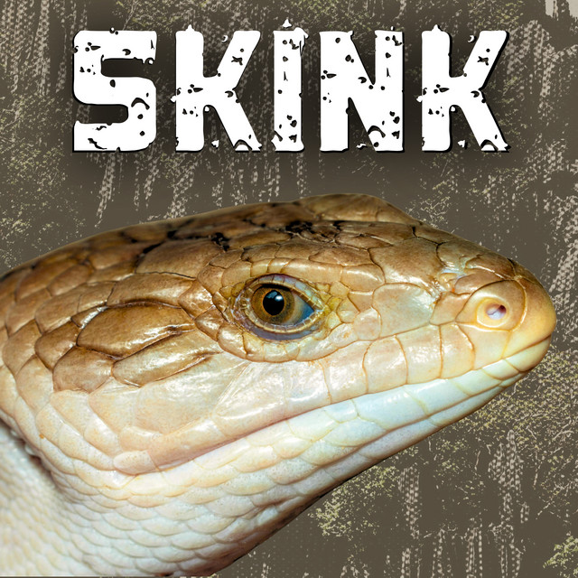 Skink album image