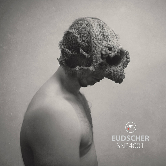 SN24001 cover art