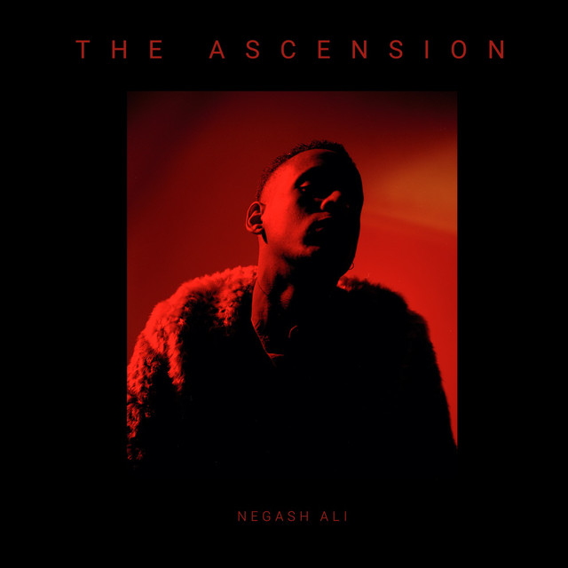 The Ascension cover art