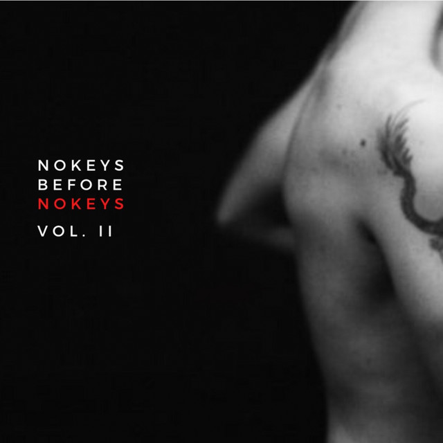 Nokeys Before Nokeys, Vol. 2 cover