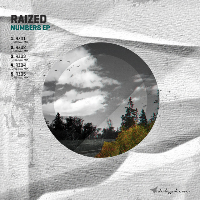 Rz02 album art