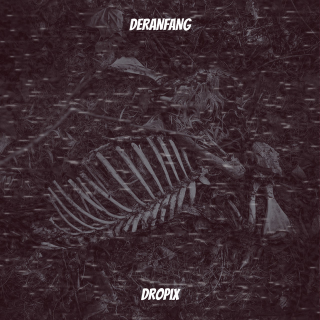 Обкладинка: DerAnfang — Dropix