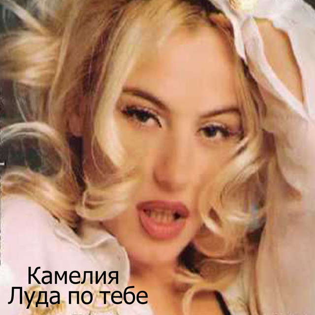 Камелия Photo