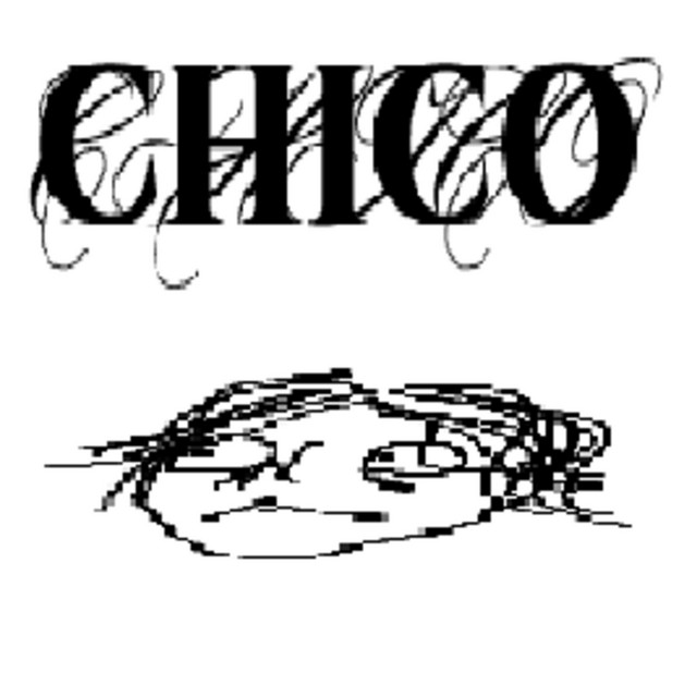 CHICO cover art