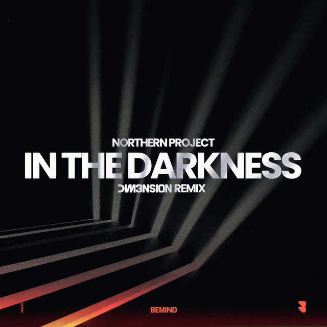 In the Darkness (DIM3NSION Remix)