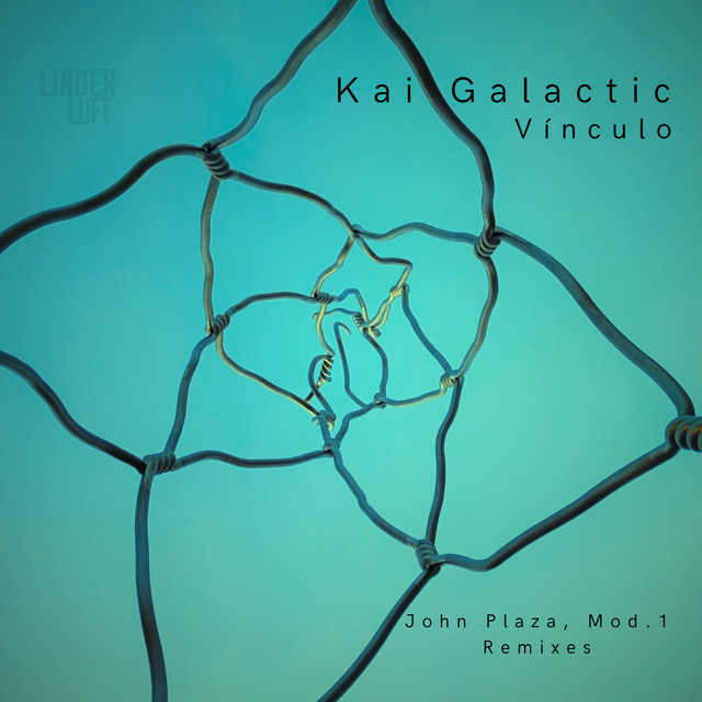Vínculo cover art