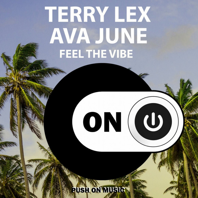 Feel the Vibe album image