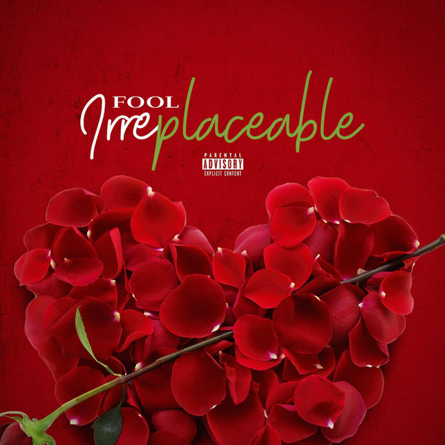 Fool | Spotify