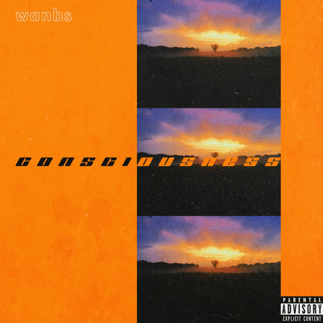 Consciousness cover art