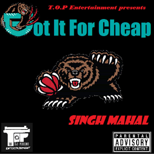 Punjabi Boyz cover art