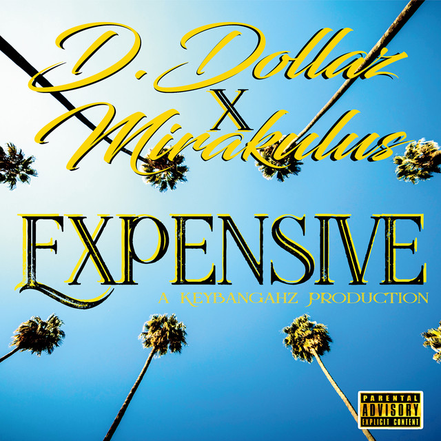 Expensive - Single by D.Dollaz | Spotify