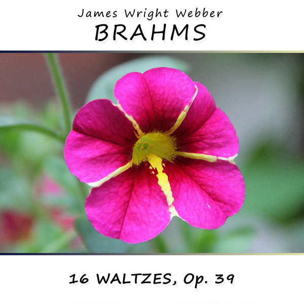 Brahms: 16 Waltzes, Op. 39 cover