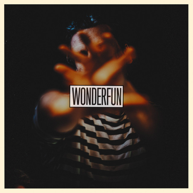 Wonderfun cover art