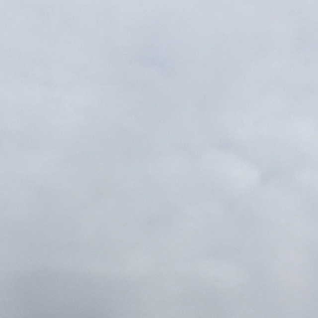 winter cover art