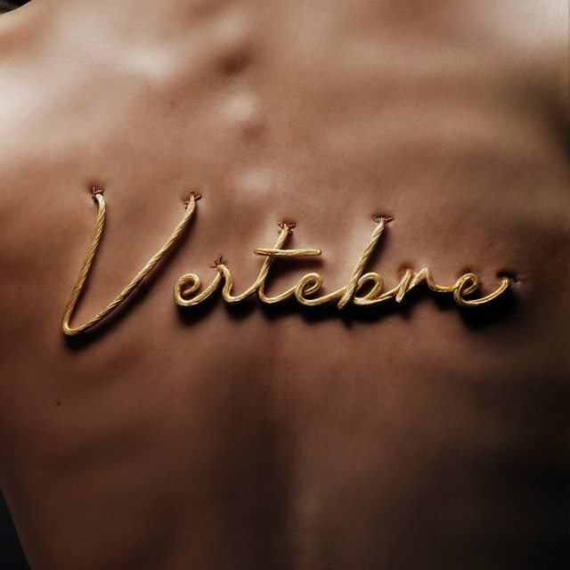 VERTEBRE cover art