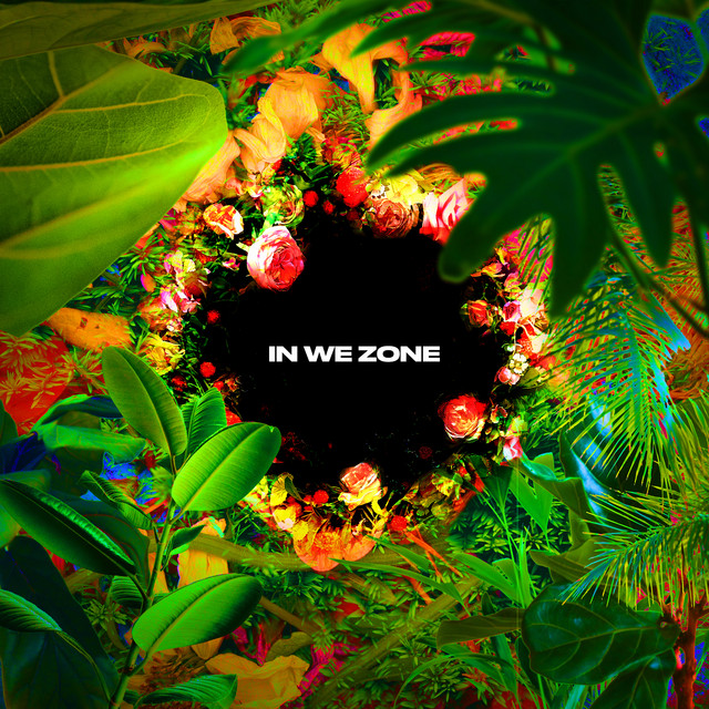 IN WE ZONE cover art