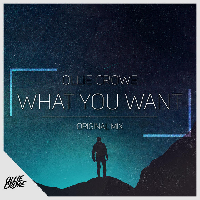 What You Want cover