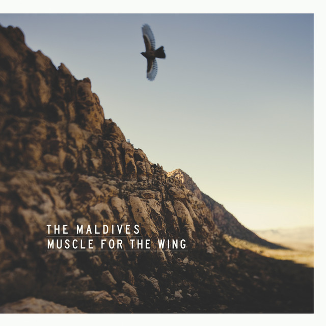 Muscle For The Wing cover art