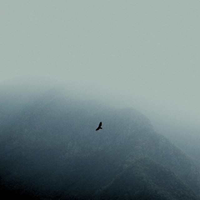 Обкладинка: Weightless — Sound EGO