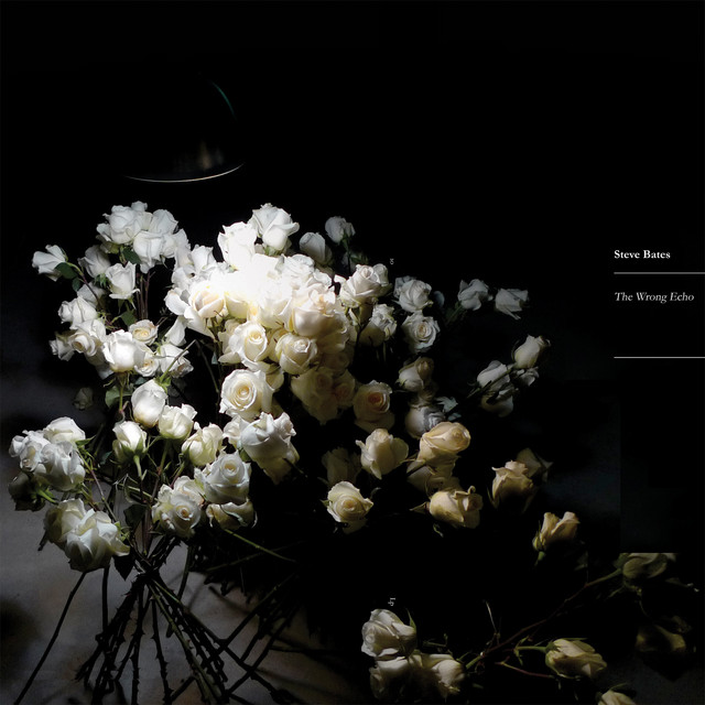 The Wrong Echo cover art