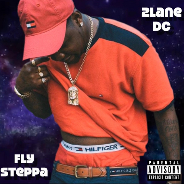 Fly Steppa cover art