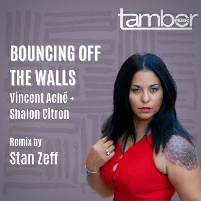 Bouncing Off The Walls (Stan Zeff Remix) cover art