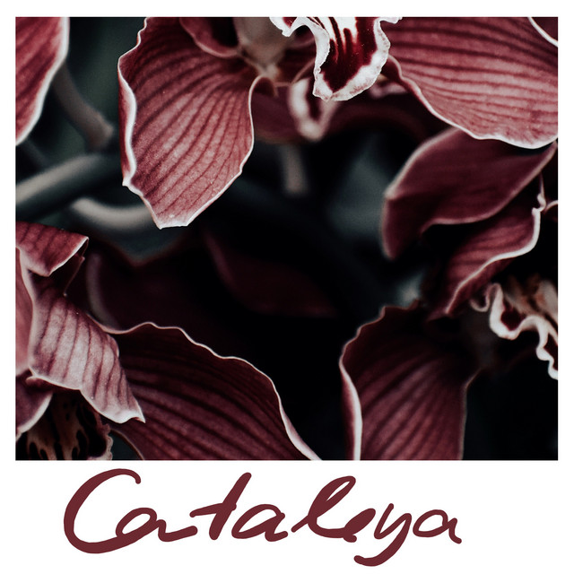 Cataleya cover art