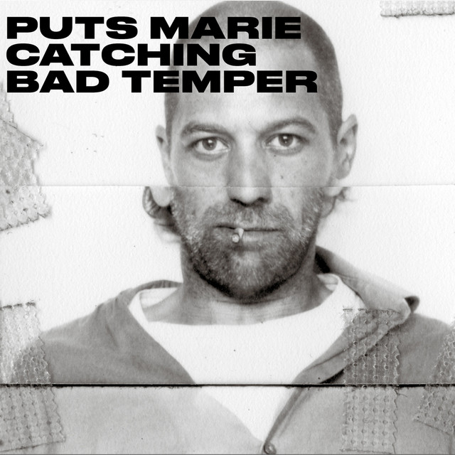 Catching Bad Temper cover