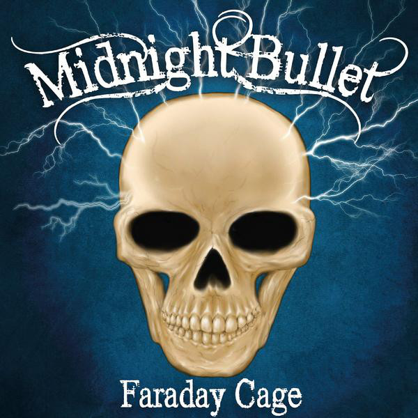 Faraday Cage cover