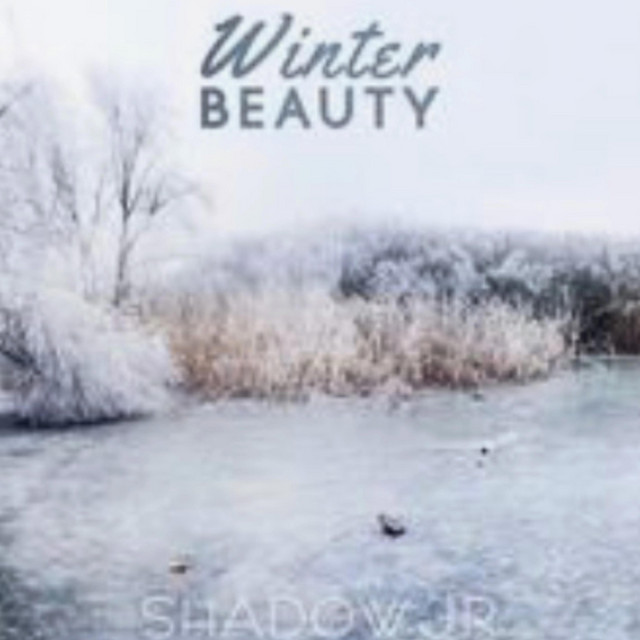 Winter Beauty cover