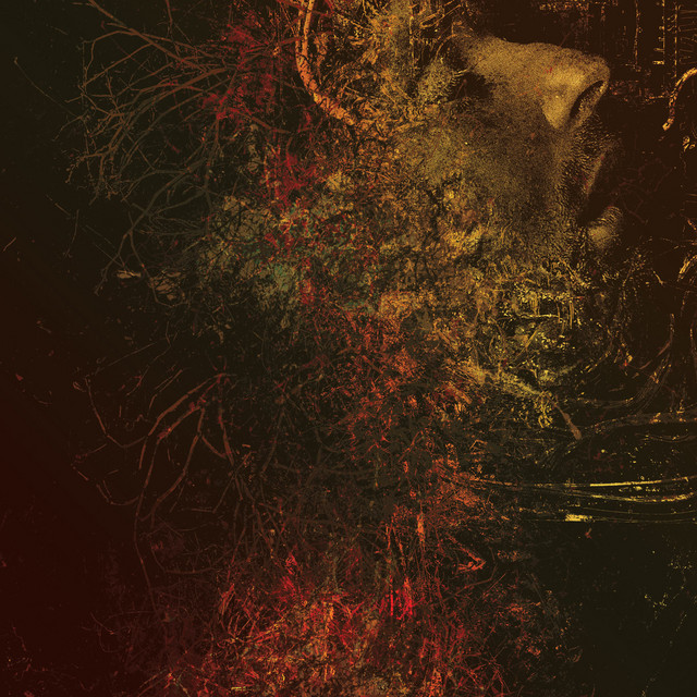 Myopic cover
