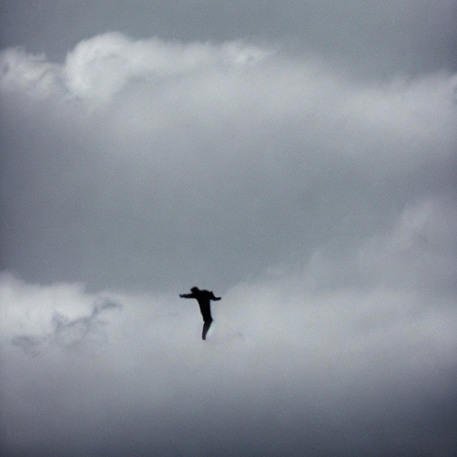 Skyfall cover art
