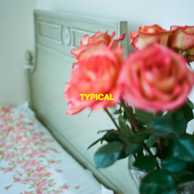 Typical cover art