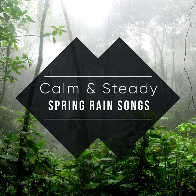 #16 Calm & Steady Spring Rain Songs - Album by Sample Rain Library ...