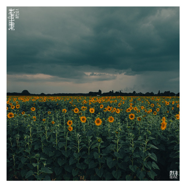 Sunflower cover art