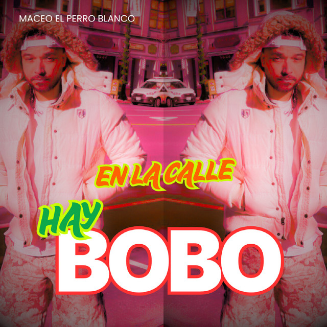 en la calle hay bobo