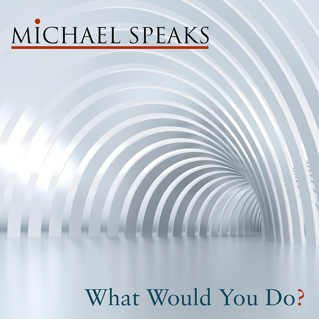 What Would You Do - Wet Mix cover art