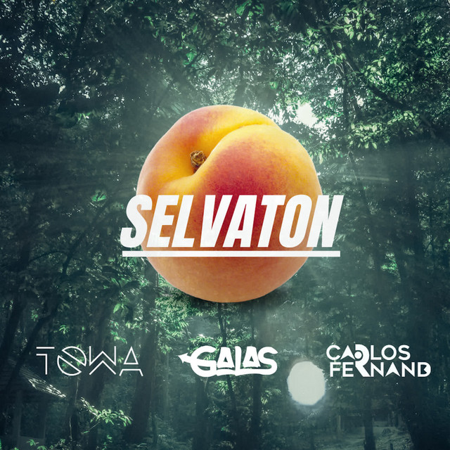 Selvaton