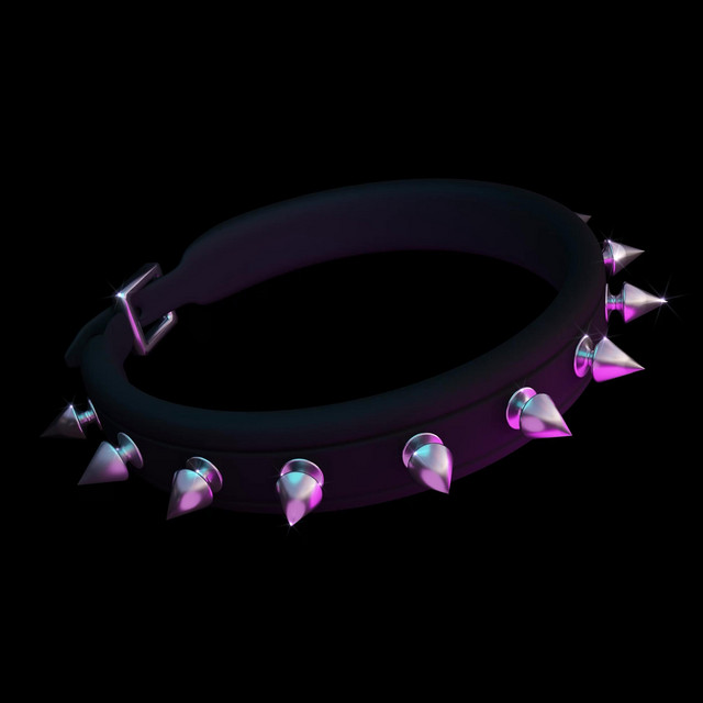 Leash cover art