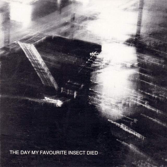 Los Wochos [The Day My Favourite Insect Died (selection)] cover