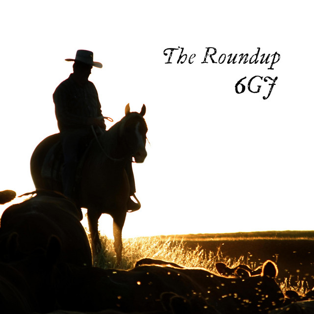 The Roundup cover art
