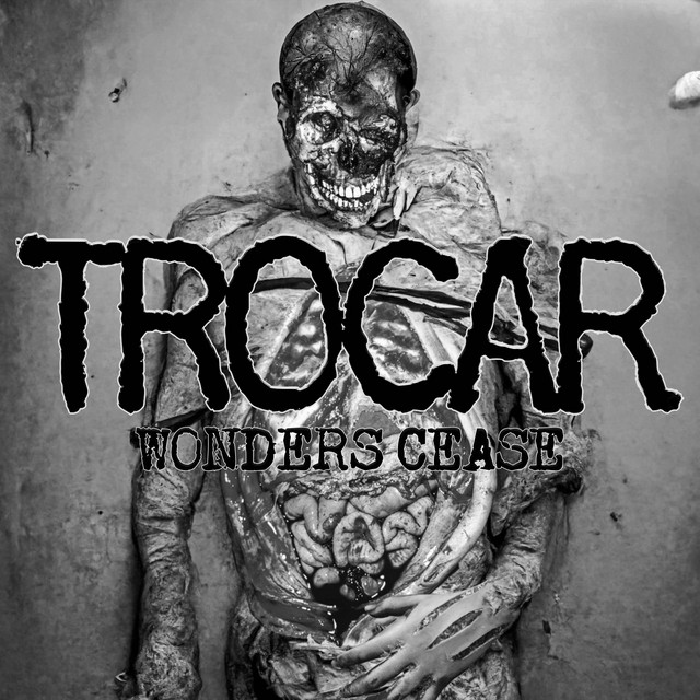 Wonders Cease cover