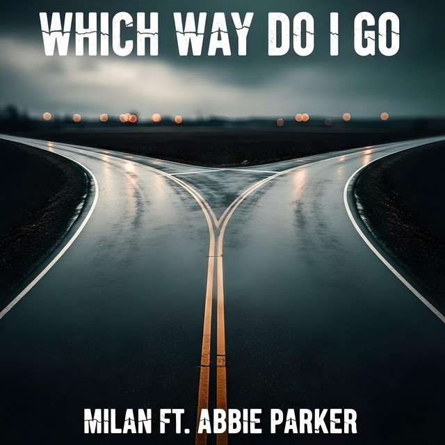 Which Way Do I Go cover art