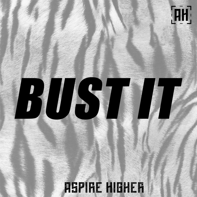 Bust It cover art