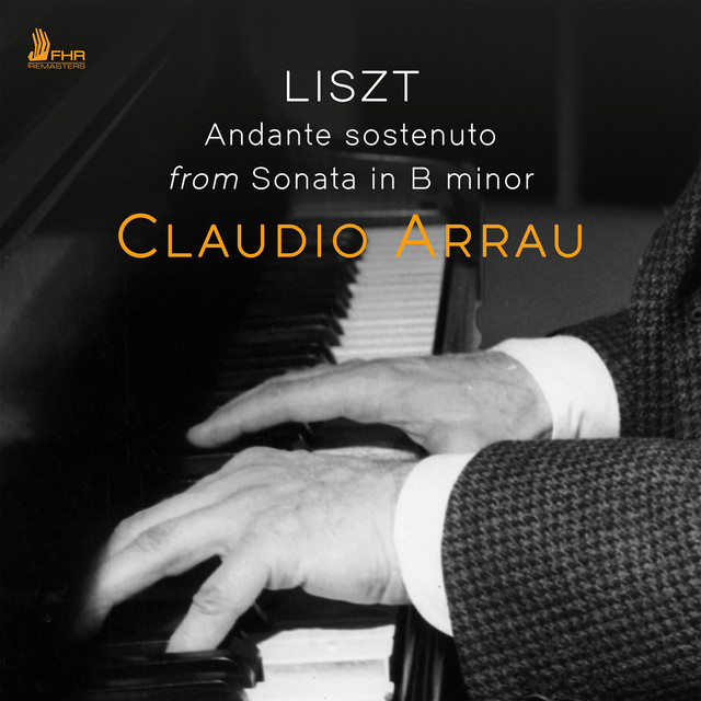 Piano Sonata in B Minor, S. 178: Andante sostenuto (Live)