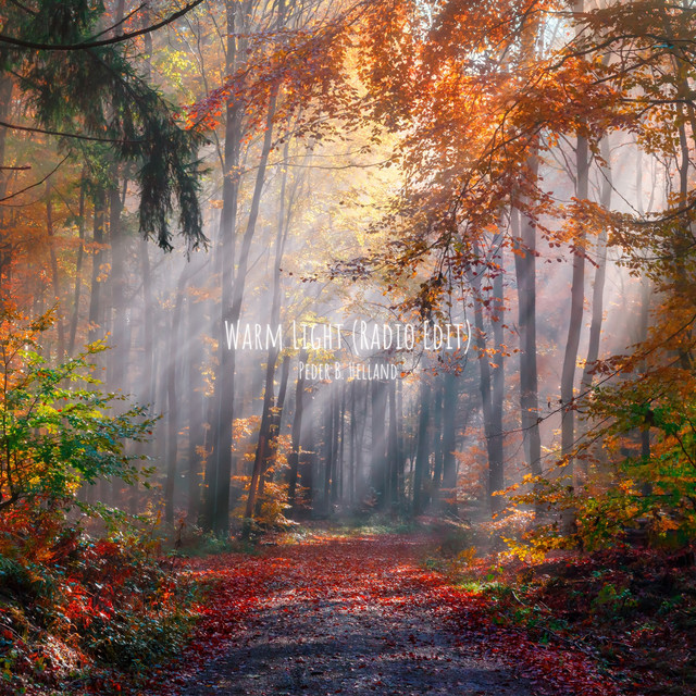 Warm Light (Radio Edit) cover art